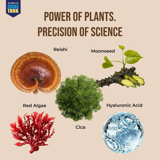 Illustration of plants and their names with 'Shark Tank' branding on a beige background.